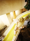 [Cosplay]  New Pretty Cure Sunshine Gallery 2(143)